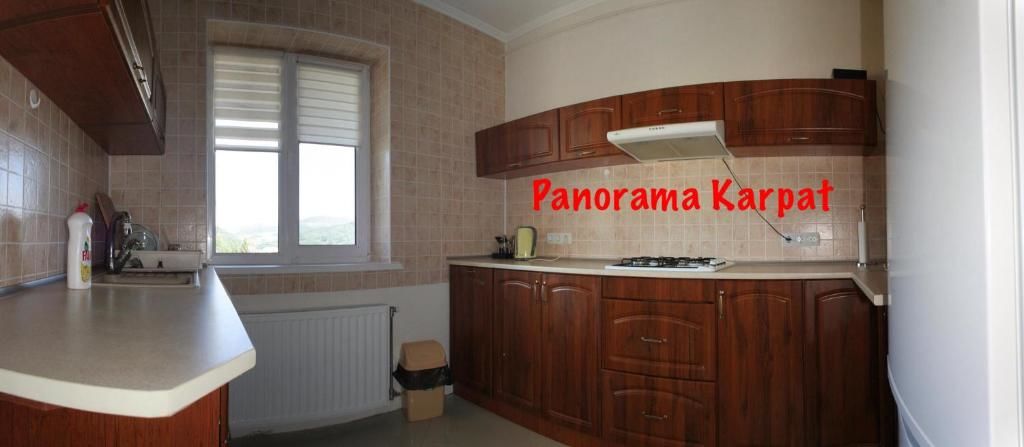 Апартаменты Панорама Карпат Поляна-50
